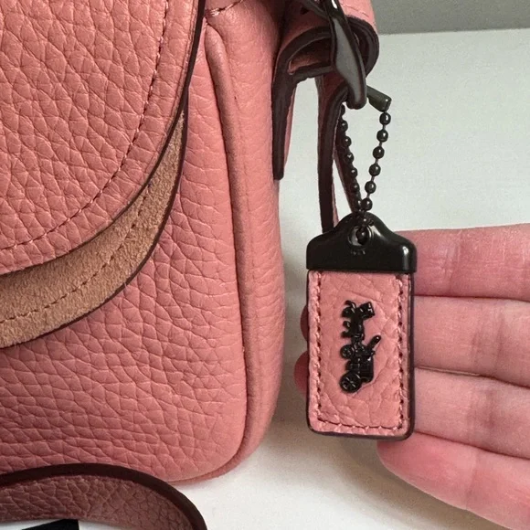 COACH X TABITHA SIMMONS Crossbody 17 Light Blush Pink - Picture 3 of 11